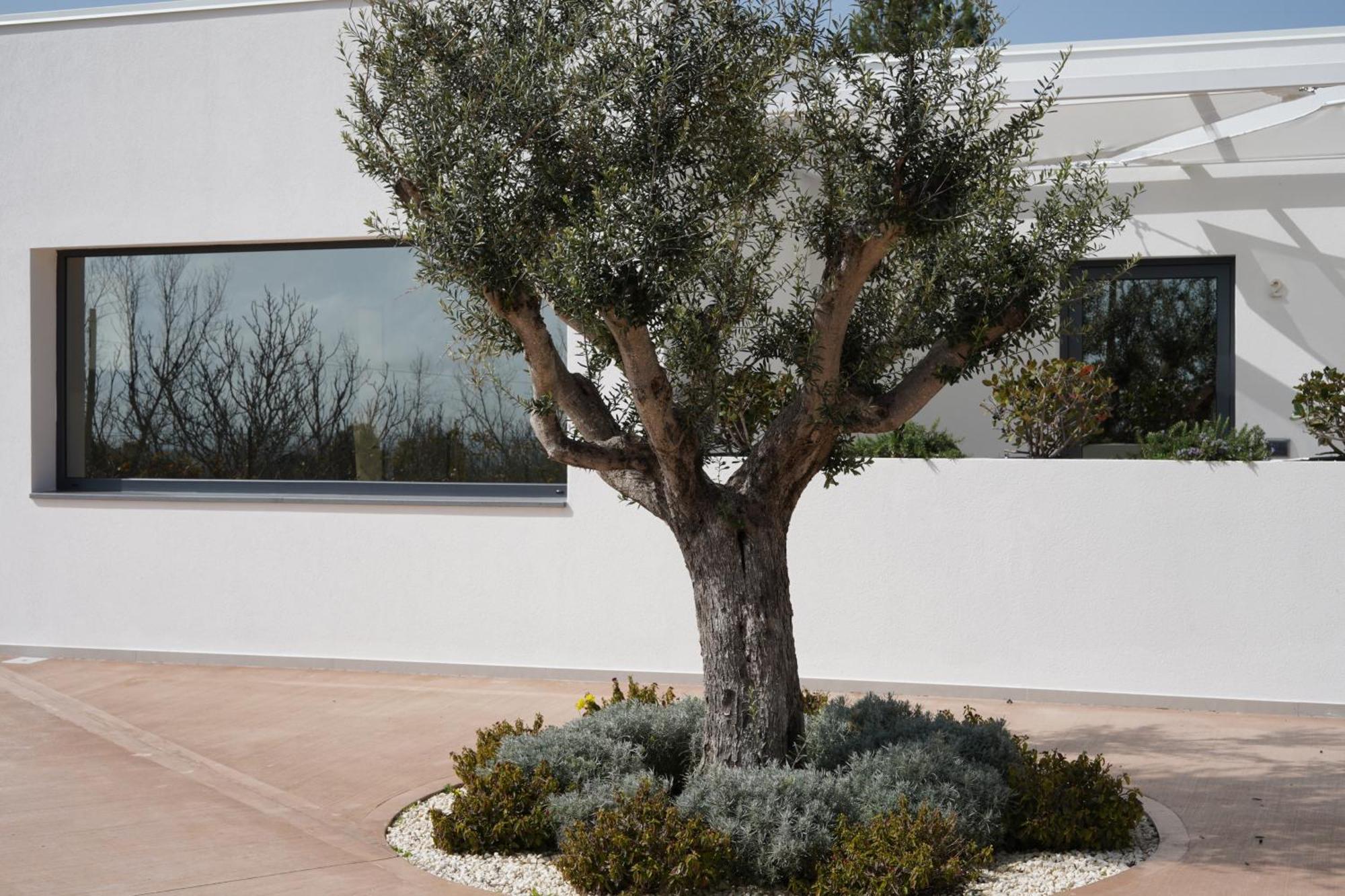 Tenuta San Marco نوتو المظهر الخارجي الصورة