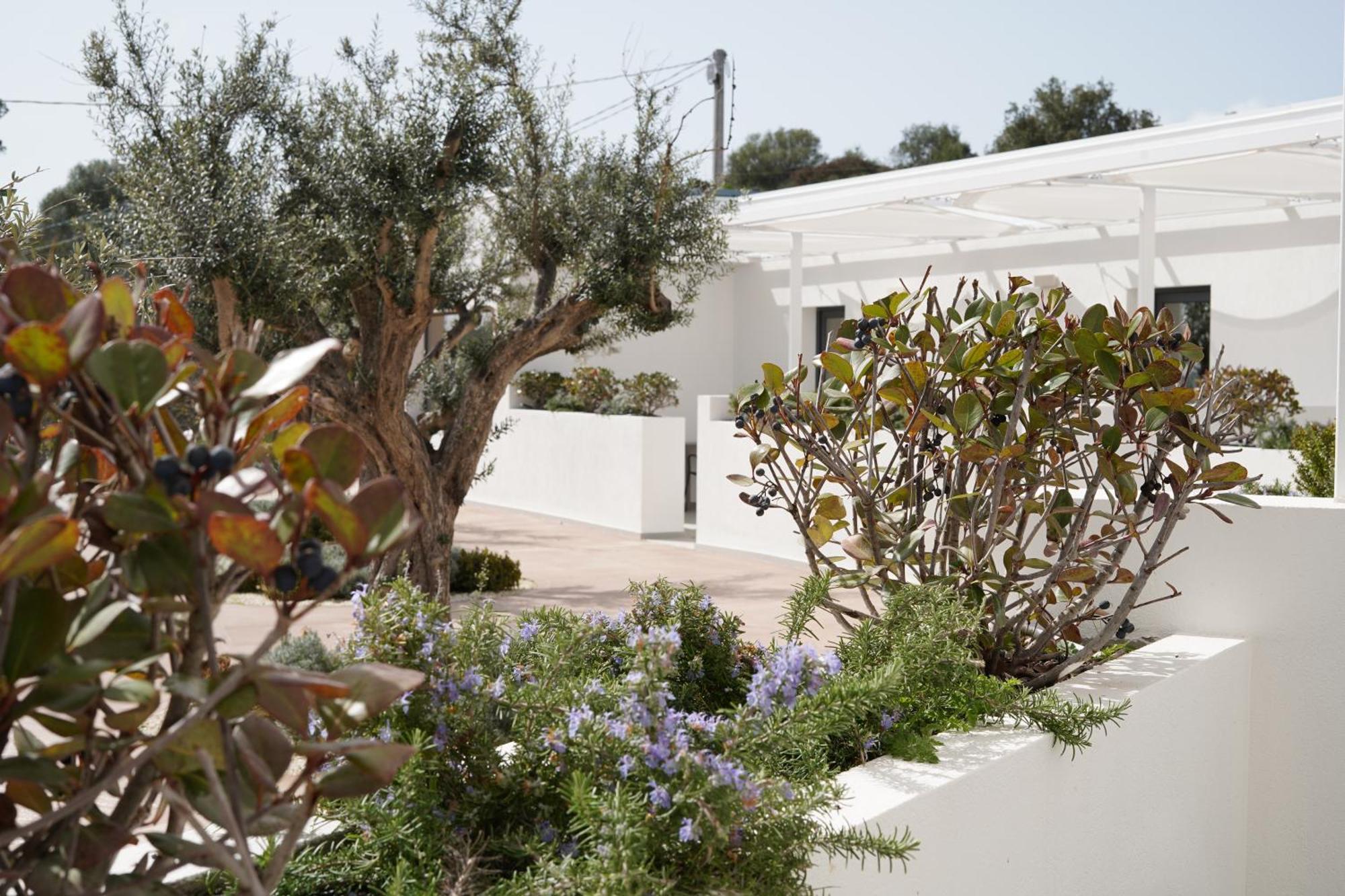Tenuta San Marco نوتو المظهر الخارجي الصورة